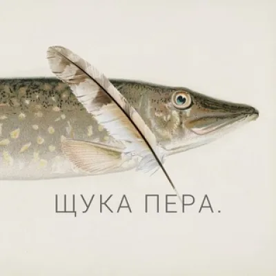 Щука пера