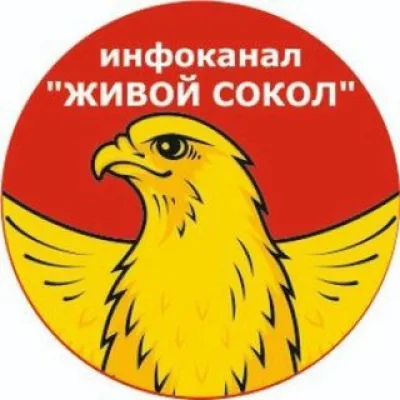 ЖИВОЙ СОКОЛ (инфоканал)