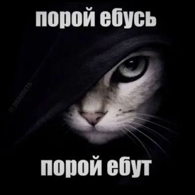 Коморка Эми 2.0🐁