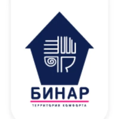 Бинар