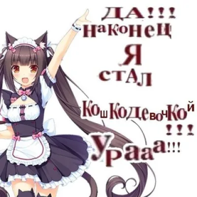 ДИТИУС//САЛЬТО НАЗАД /💥/ Ингасекс