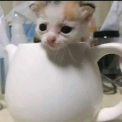 418 I'm a Teapot 🫖