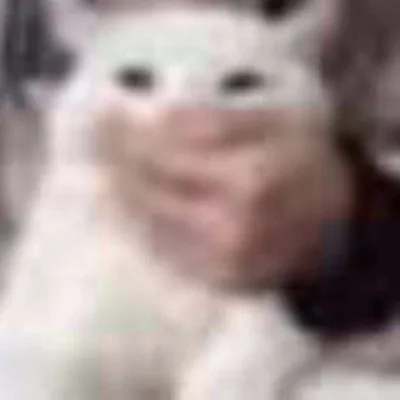 подстилка дьявола TVGTVGTVGTVG