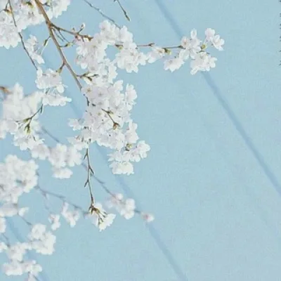 • Отзывы 🌸