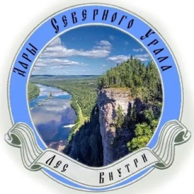 Дары Северного Урала (чат)