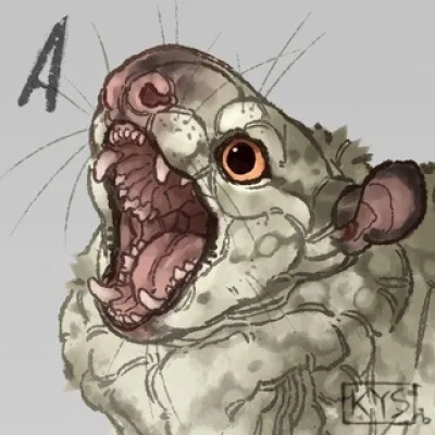 kusiska