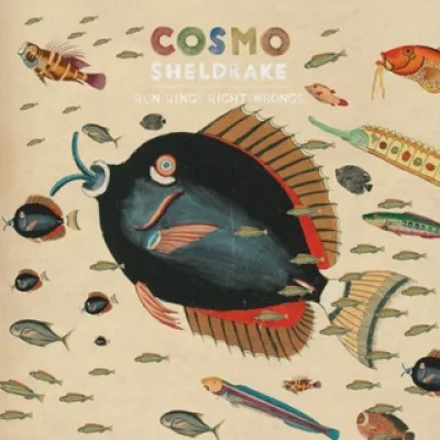 Cosmo Sheldrake Zine