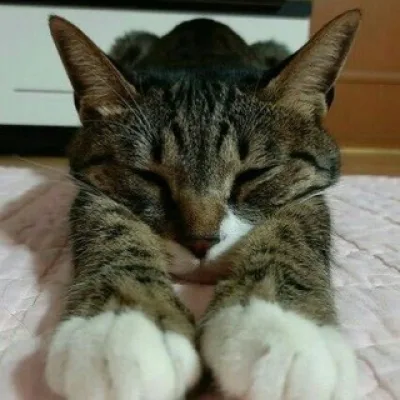 ⋆˚࿔ дана ₊˚