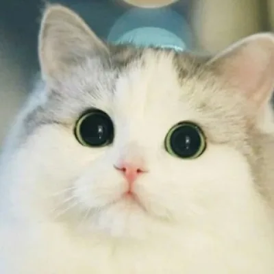 ret