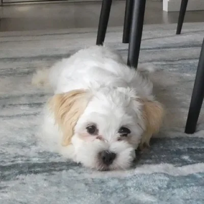 Cute and Fun Videos 🥰