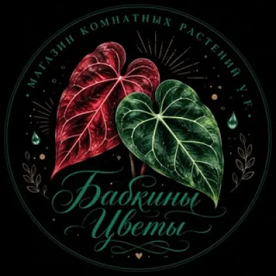 Бабкины цветы shop