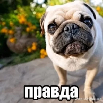 Фокси продает косплеи