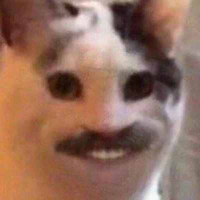 Джинн