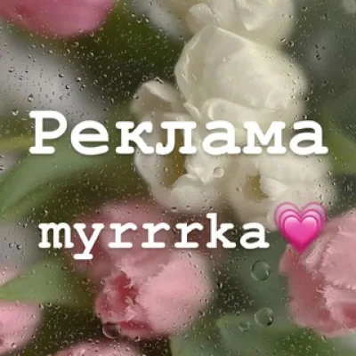Реклама🤍myrrrka💗