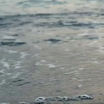︎