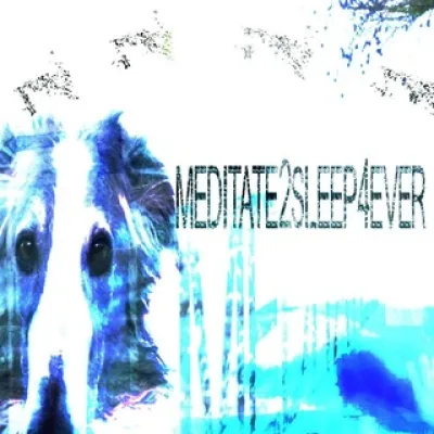 meditate2sleep4ever