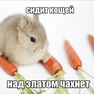 снаружи фешн внутри член