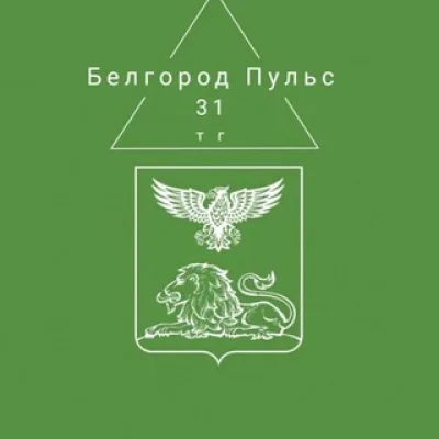 Белгород Пульс