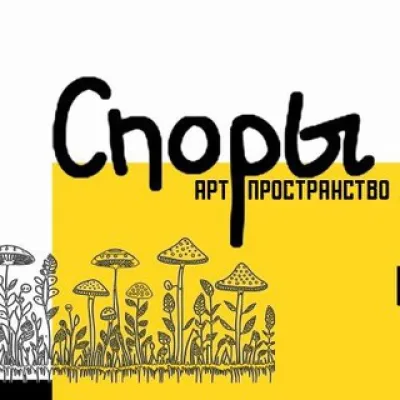 СПОРЫ 🍄🍄🍄