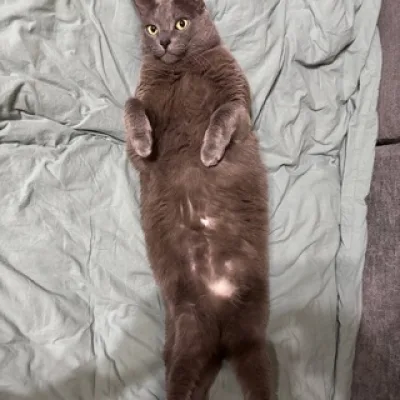 blickyhomeboy
