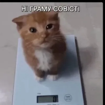 апилочнось