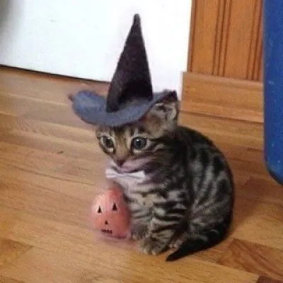 🎃порошок.18+🎃
