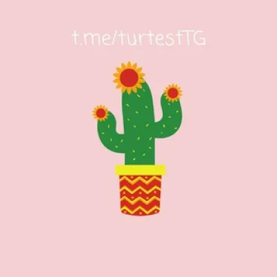 Турецкий тест 🌵 Türkçe