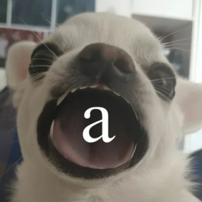 阿琳