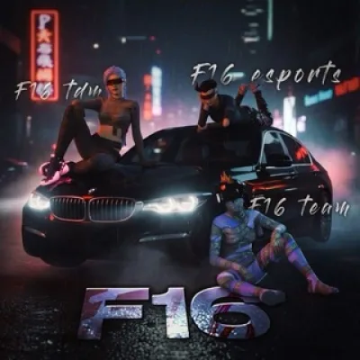 F16 TDM