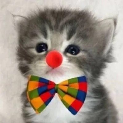 Успокойся здоровяк