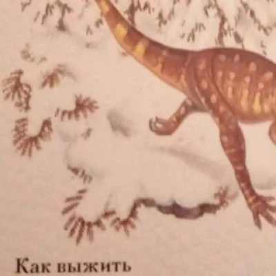 КАК ВЫЖИТЬ