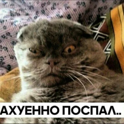 Укуренные козлы