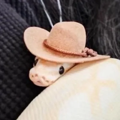 snek chanel
