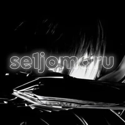 se1jomaru avatars