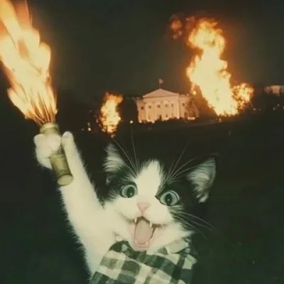 Wer