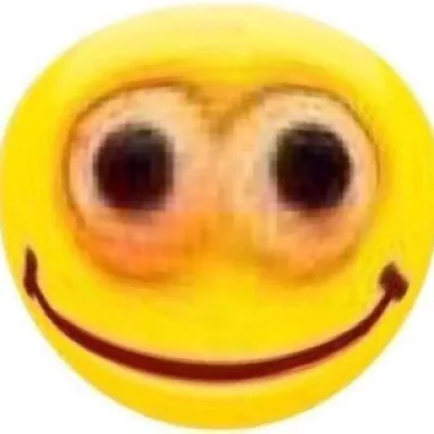 stupid memes
