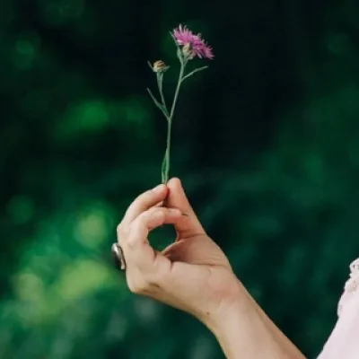Secretum hortus