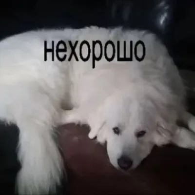 переходник шмак
