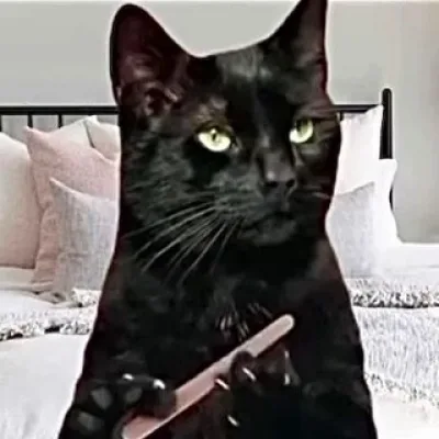 Шеф