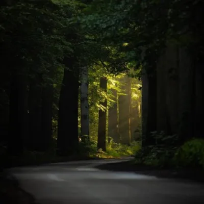 Парки и Скверы 🌳