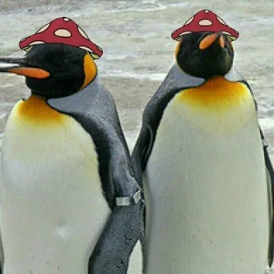 ReggiRiᵐⁱⁿᵉˢʰⁱᵉˡᵈ