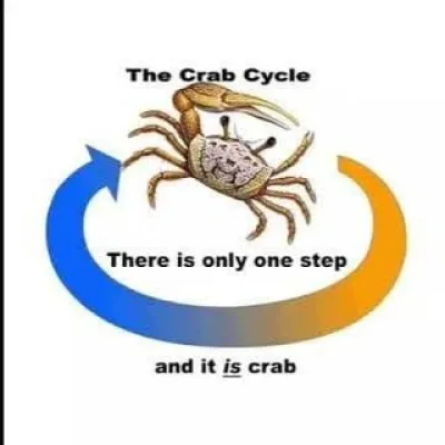Science Diagrams that Look Like Shitposts