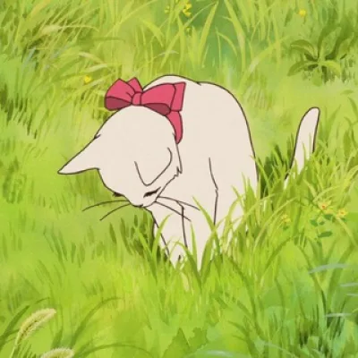 🌱 вечерняя болтовня подсолнуха 🌱
