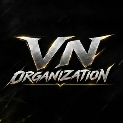 VN ORGANIZATION