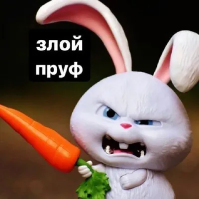 Zлой Пруфф
