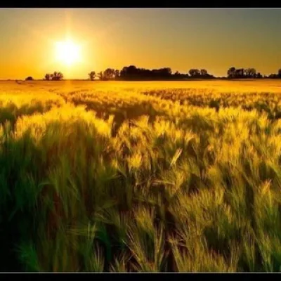 🥕 🌽 🌾 Bauernkarte 🌾 🥕 🌽