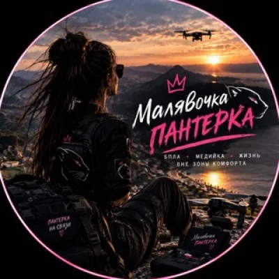 Пантерка на Службе 🐆✨️