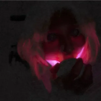 Nerv