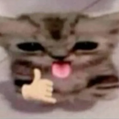 Отзывы