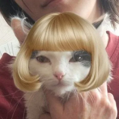 Kvak Kvak